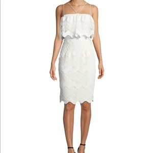 Gwendolyn Scalloped Lace Cocktail Sheath Dress